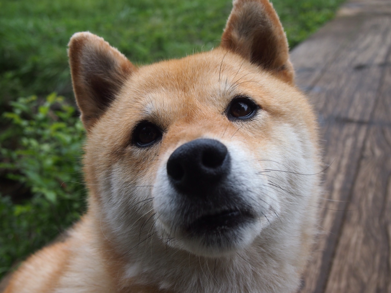 从杭州到麦迪逊，当浙江队客串尼克斯，保罗如何用东方智慧改写终局？