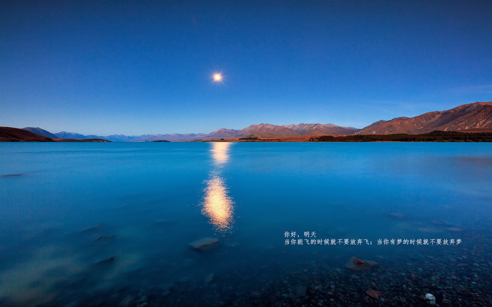 跨界战术风暴，吉林队智取奇才，班凯罗F1揭幕战强势接管