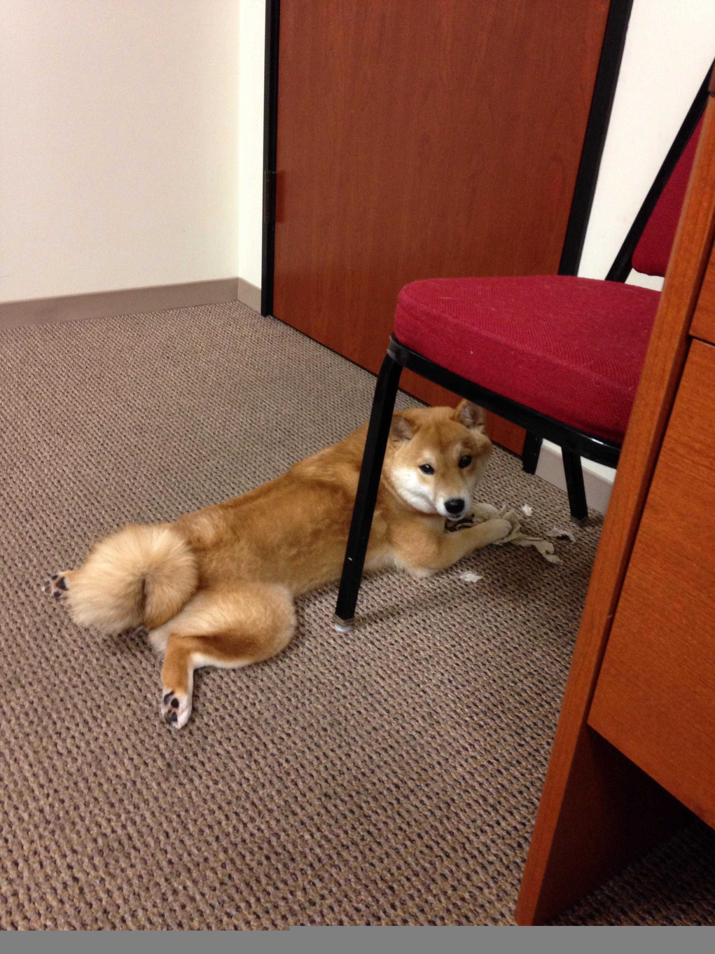 金色死神降临麦迪逊!克莱11记三分收割尼克斯,绿军东决之路再进一步