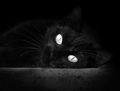 草根逆袭，委内瑞拉掀翻斗牛士，久保建英闪耀定乾坤