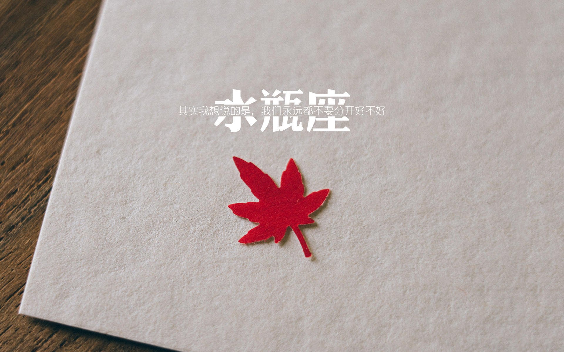 浙江队强势碾压篮网，爱德华兹德甲争冠战主宰赛场—篮球世界的双星闪耀