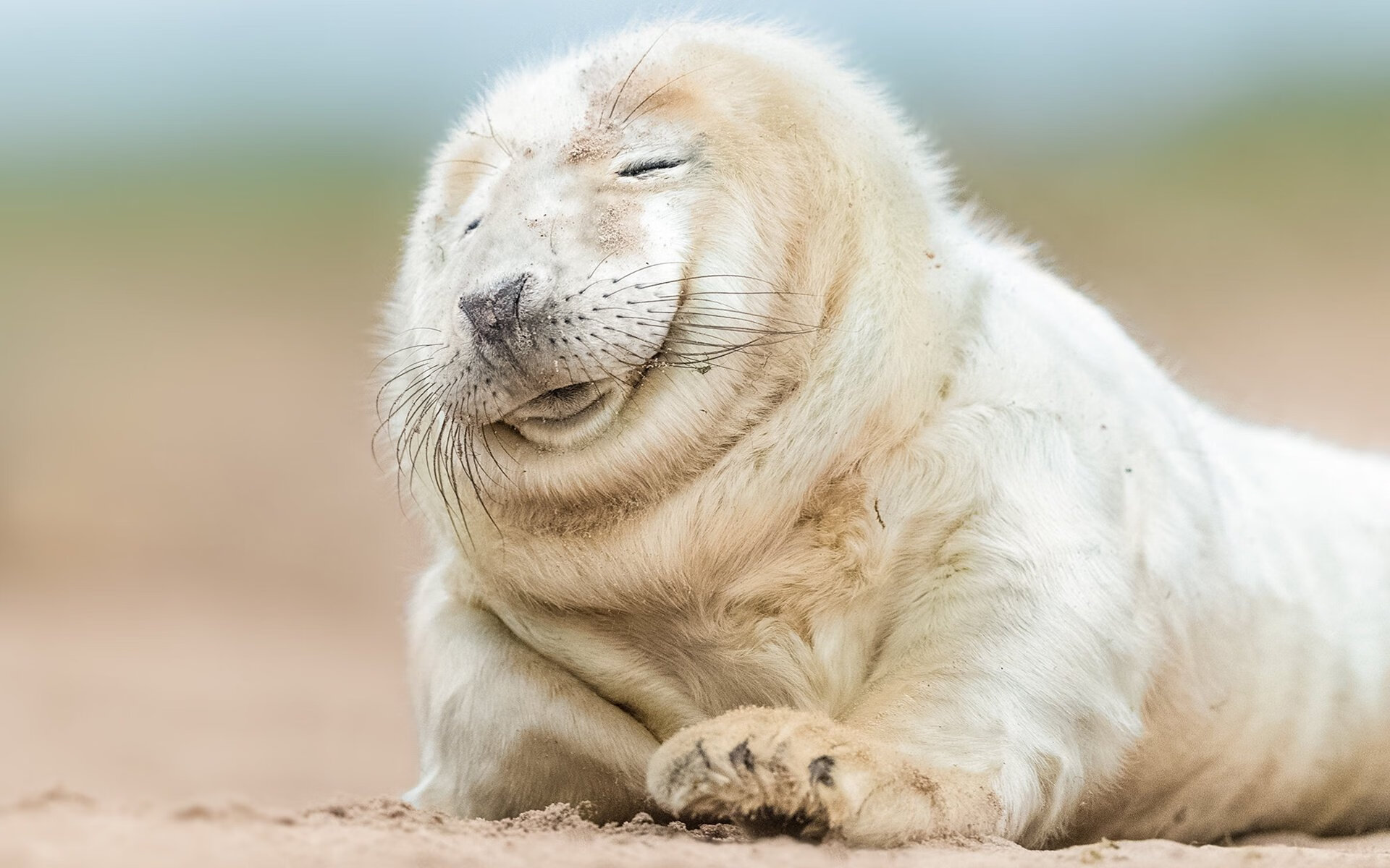 黑白直播体育-德布劳内大师级表现，拜仁对阵威尔士的战术对决