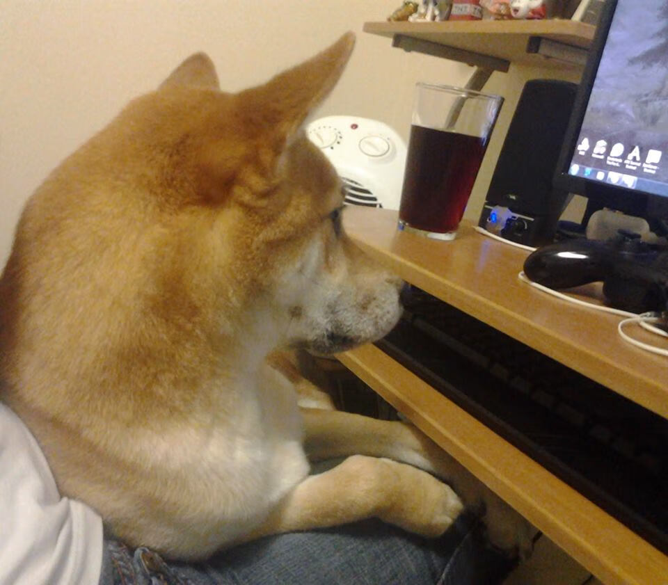 黑白直播nba在线观看-终场绝唱，老鹰的利爪如何撕裂最后一抹夕阳