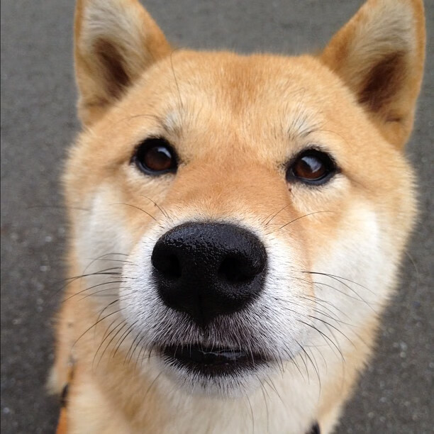 黑白直播在线观看-绝境狂澜，超级外援爱德华兹关键一击斩落深圳