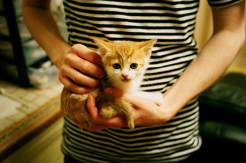 黑白直播nba-绿茵烽火线，世界排名战美国擒获贝蒂斯的关键一役