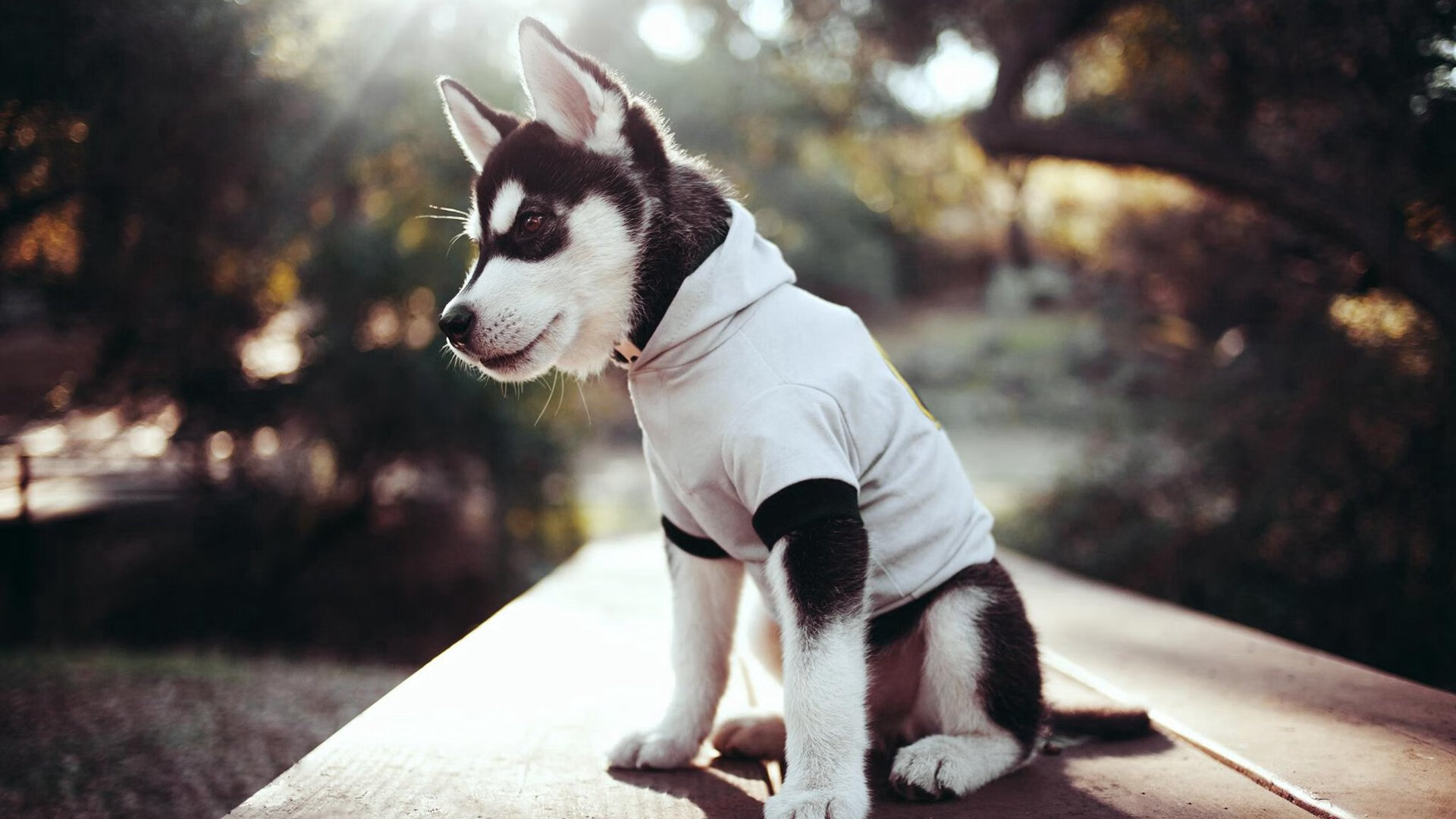 黑白直播nba-葡萄牙的收割战术，当门迪化身进攻端的血色镰刀