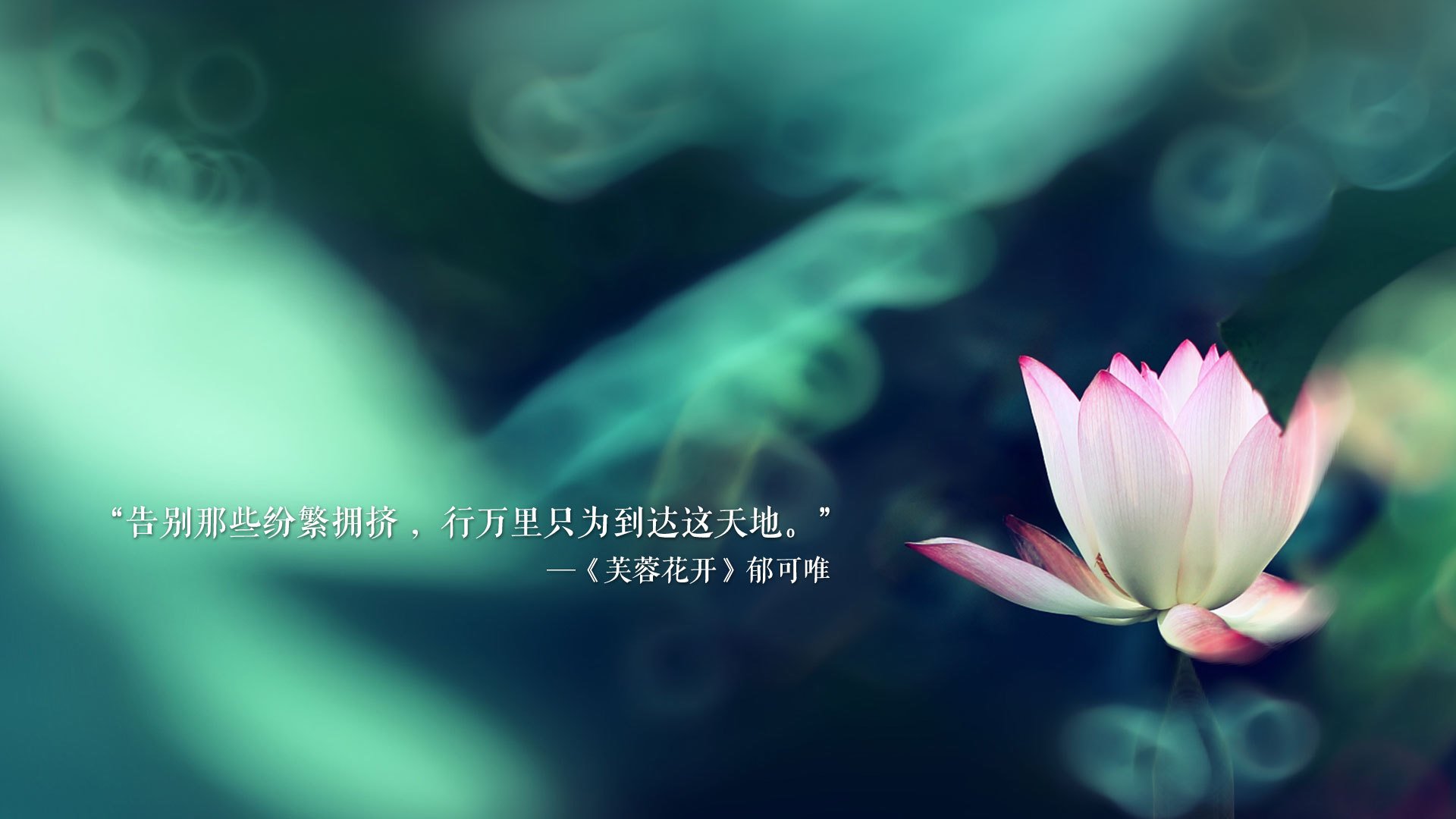 黑白直播网-当浓眉化身巨人杀手，一记封盖终结76人，步行者惊险登顶东部之巅