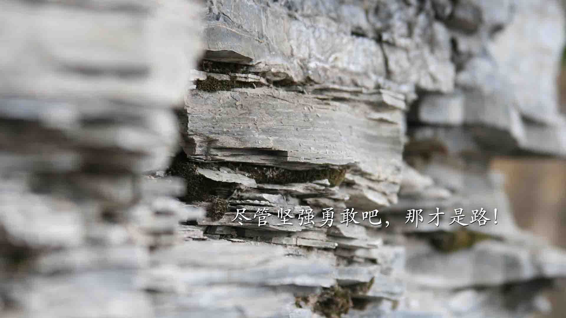 帝王之相,塔图姆于奥运关键夜点燃巨星之火