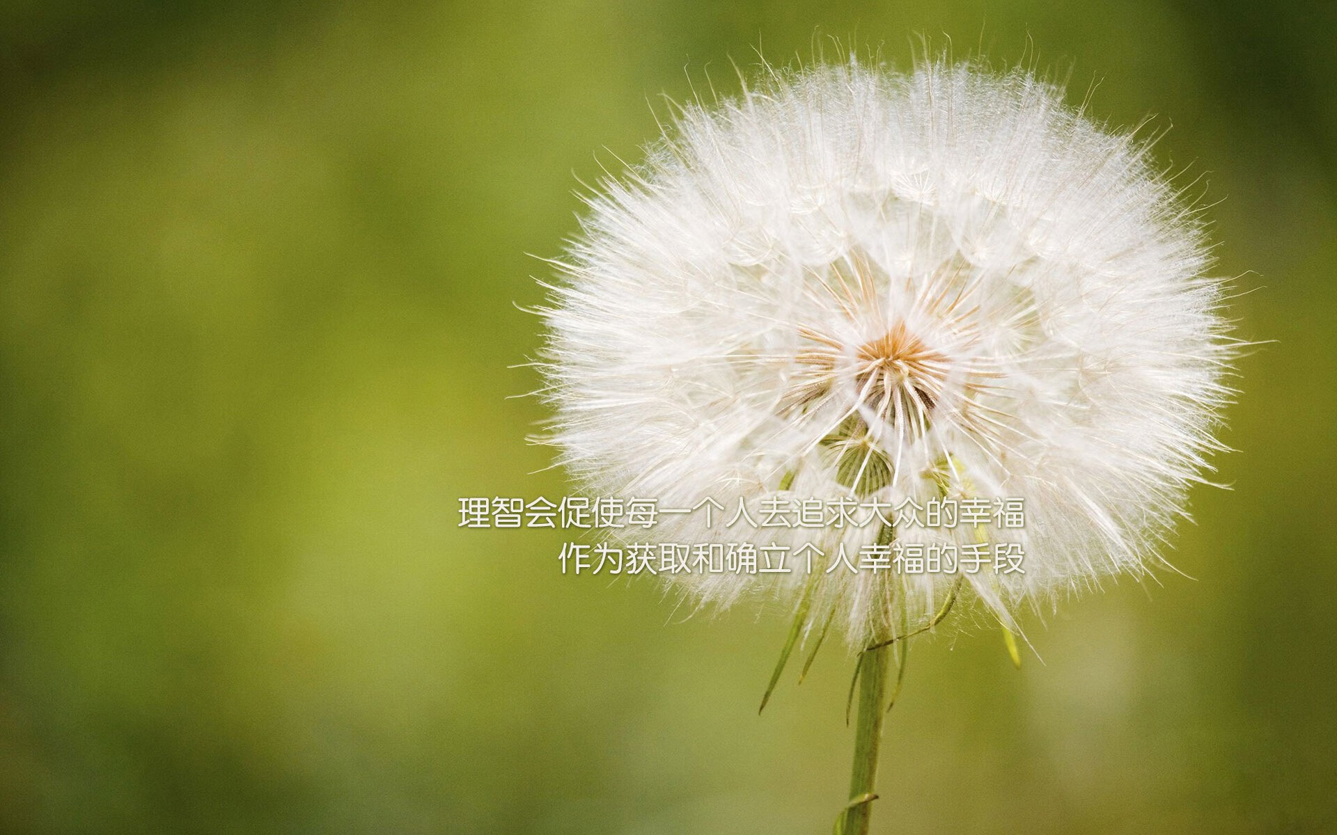索菲亚奇迹夜，保加利亚绝境逆转泰国，哈基米闪耀2026世界杯生死战