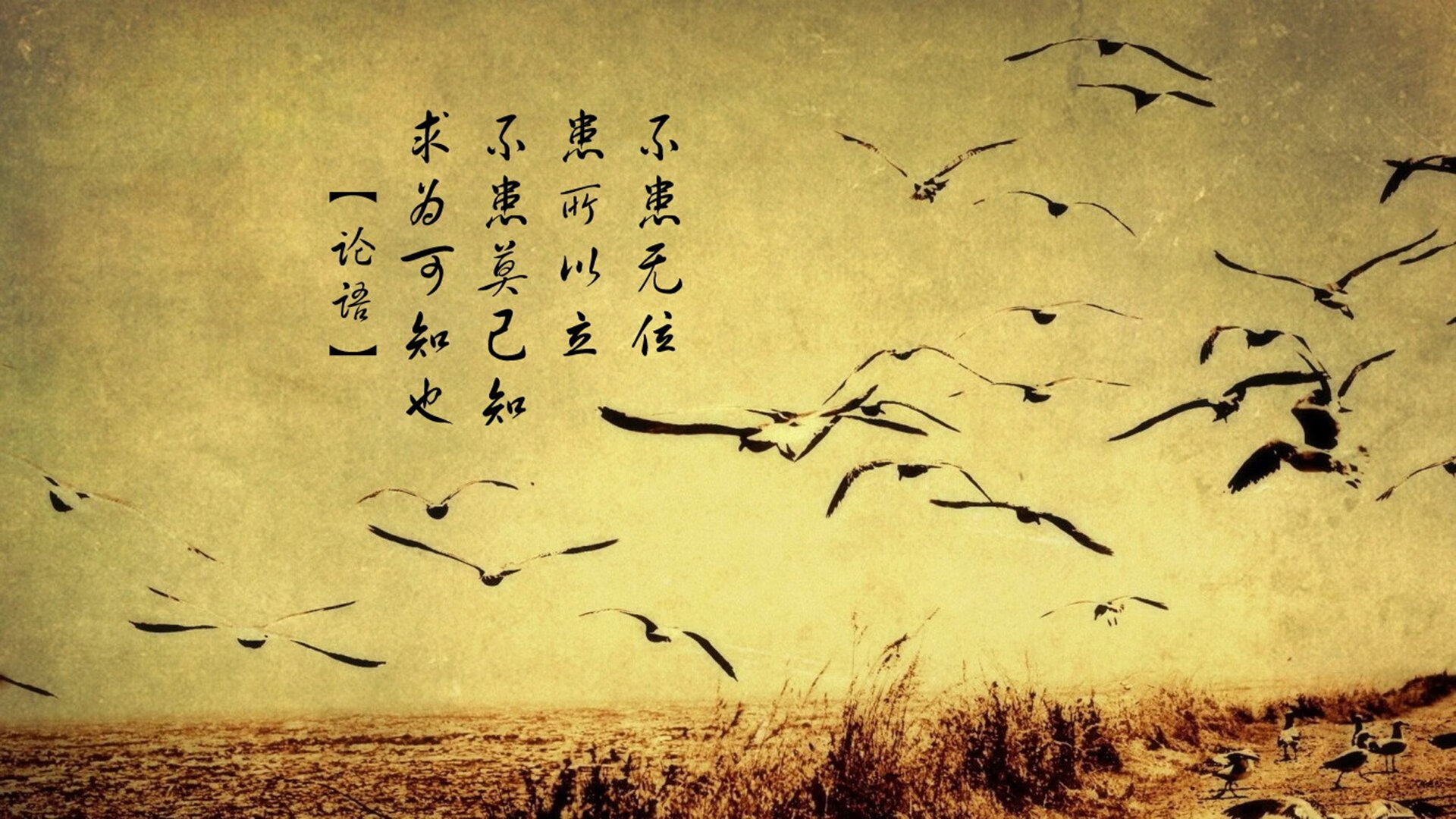 沙漠之狐的逆袭，德布劳内绝命一击，摩洛哥逆转阿联酋挺进八强