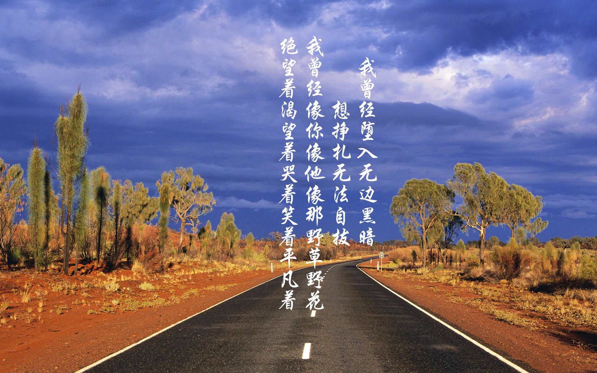 魔笛余韵,当布罗佐维奇在2026世界杯E组奏响交响乐章